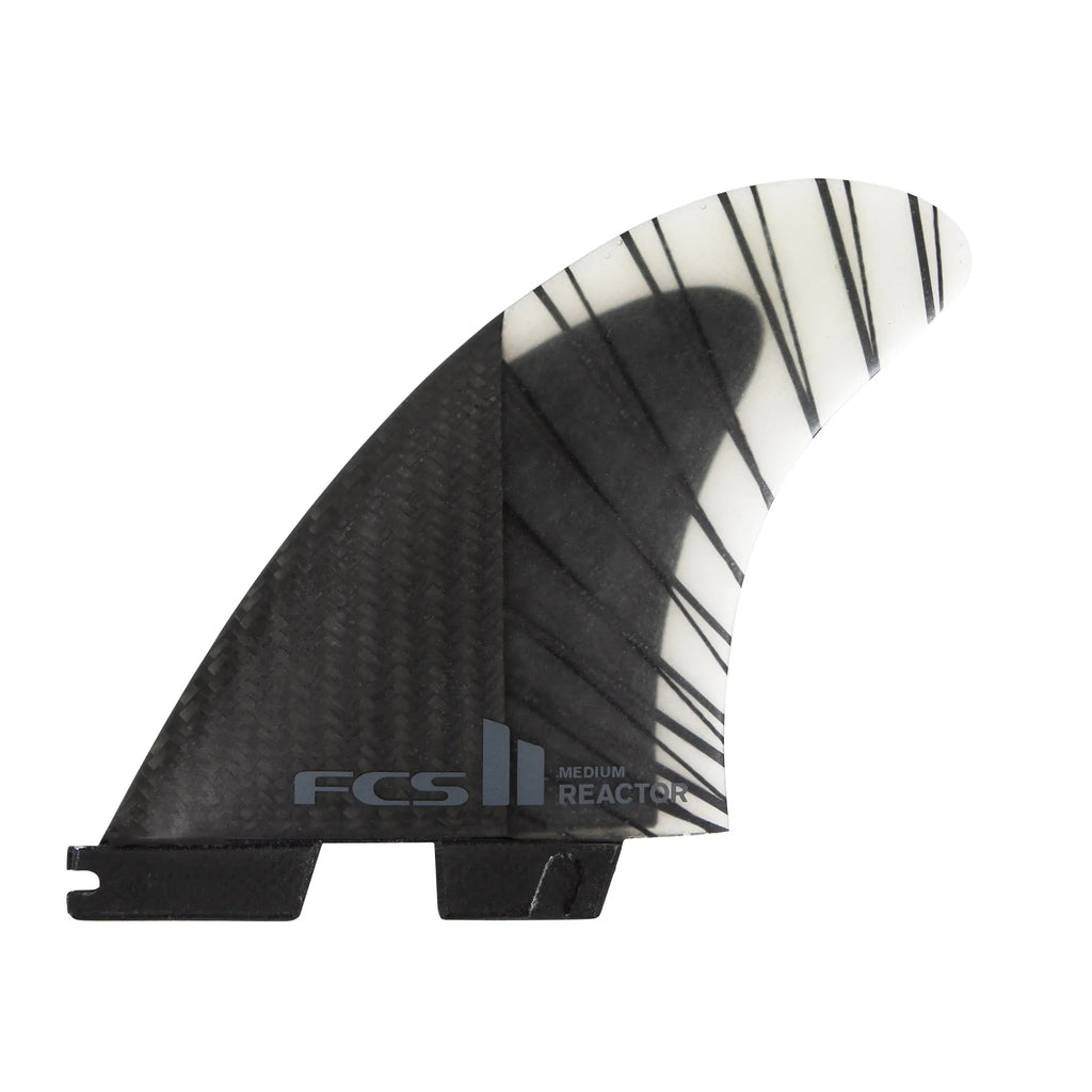 FCS2 REACTOR PCC TRI FIN